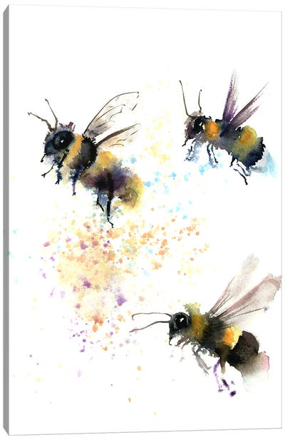 3 Bees Canvas Art Print - Bee Art
