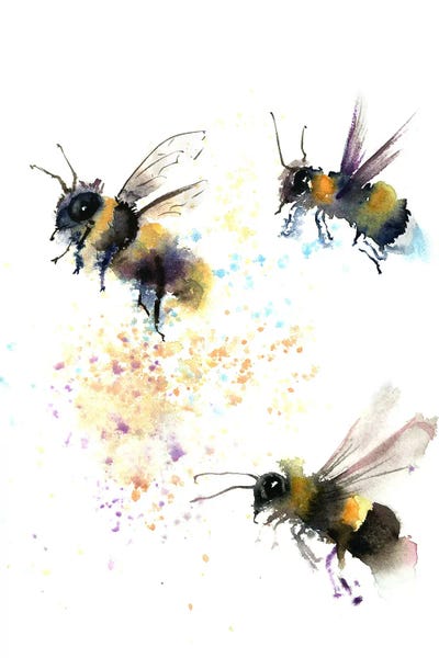 Bees: 3 Bees by Olga Tchefranov