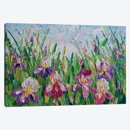 Irises Canvas Print #OTK103} by Olga Tkachyk Canvas Wall Art