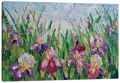 Irises Canvas Art Print - Olga Tkachyk