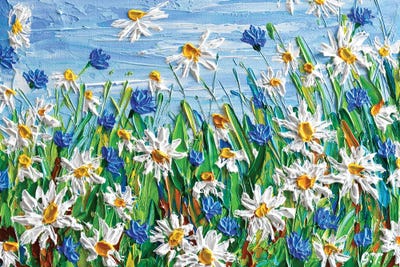 Field Of Daisies by Olga Tkachyk framed wall art