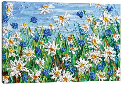 Field Of Daisies Canvas Art Print - Daisy Art