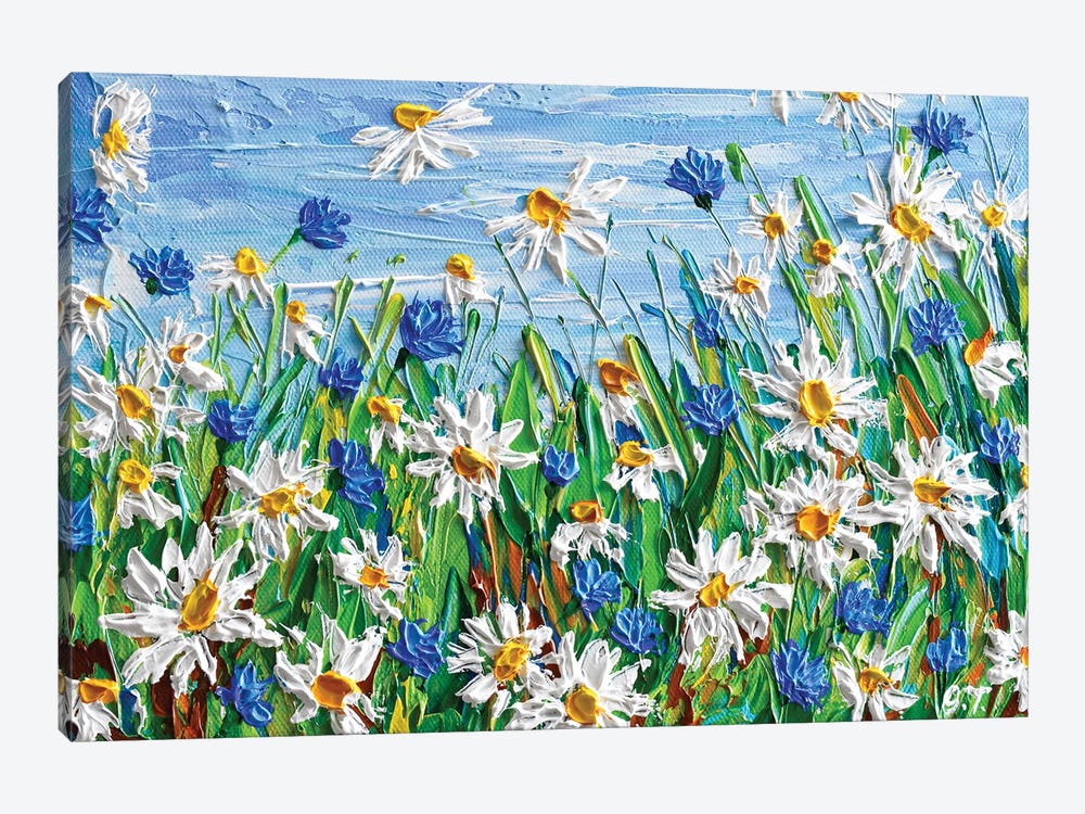 Field Of Daisies by Olga Tkachyk 1-piece Canvas Print