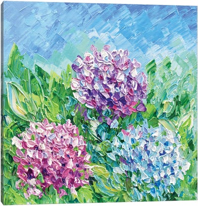 Gardenia Canvas Art Print - Olga Tkachyk