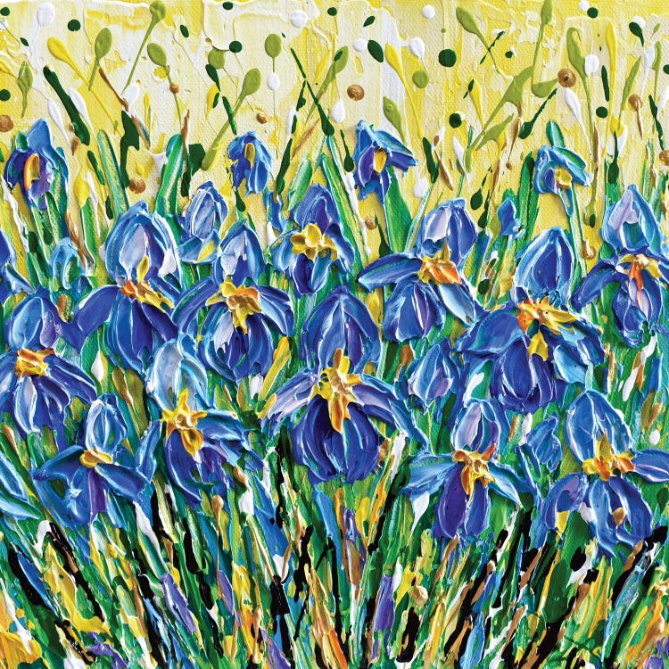 Blue Irises by Olga Tkachyk wall art