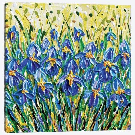 Blue Irises Canvas Print #OTK121} by Olga Tkachyk Canvas Art