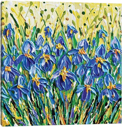 Blue Irises Canvas Art Print - Olga Tkachyk