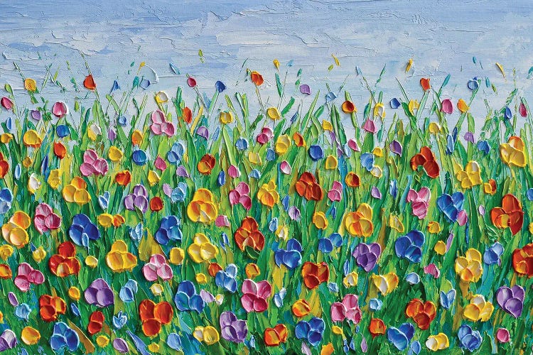 Colorful Flower Field by Olga Tkachyk wall art