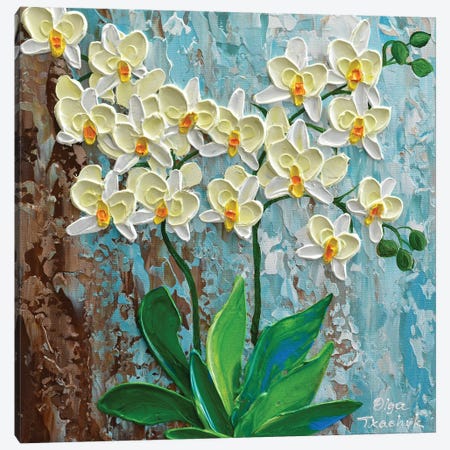 Ivory Orchid Canvas Print #OTK141} by Olga Tkachyk Canvas Wall Art