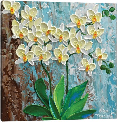 Ivory Orchid Canvas Art Print - Olga Tkachyk
