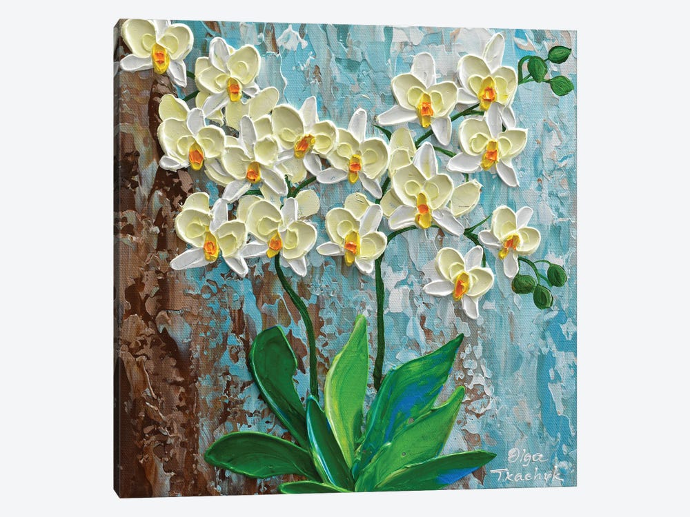 Ivory Orchid by Olga Tkachyk 1-piece Canvas Wall Art