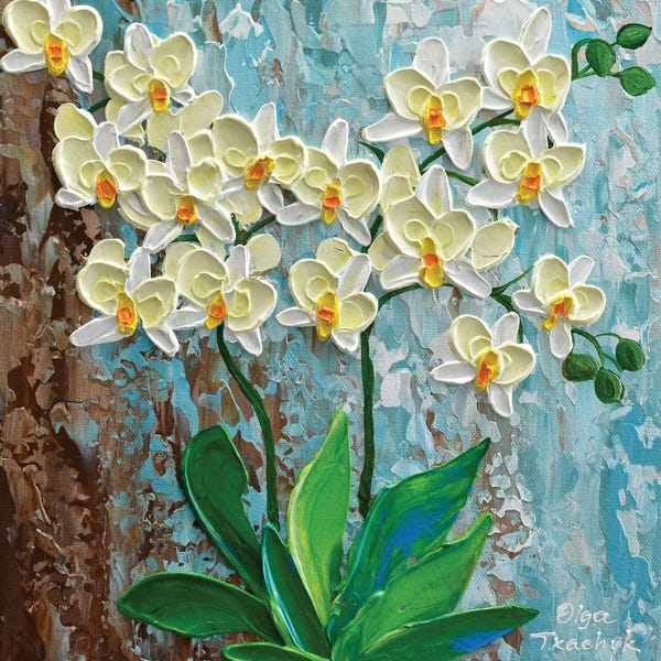 Orchids: Ivory Orchid by Olga Tkachyk