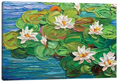 Waterlilies In The Morning Canvas Art Print - Olga Tkachyk