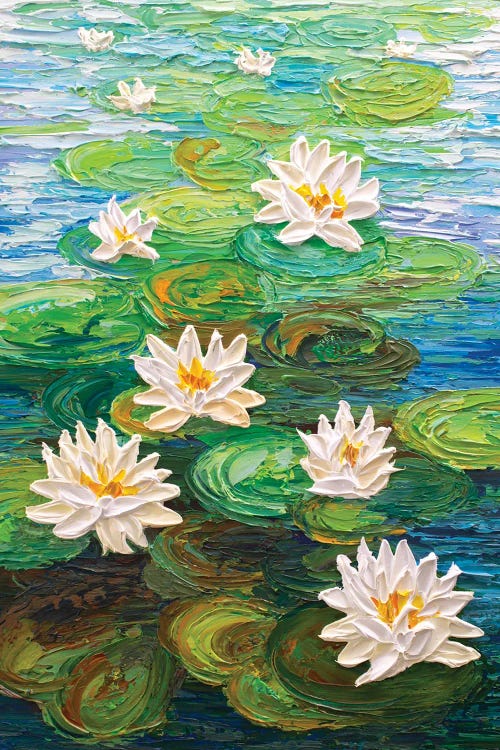 White Water Lilies