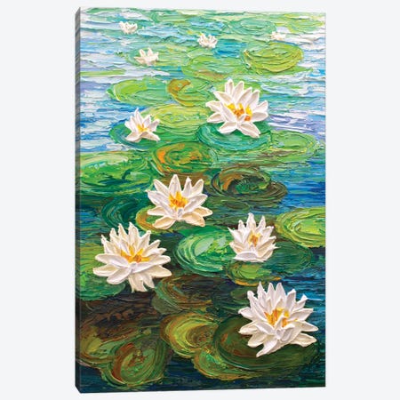 White Water Lilies Canvas Print #OTK160} by Olga Tkachyk Canvas Wall Art