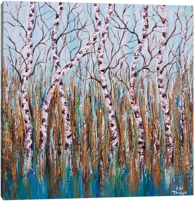 Birches Forest Canvas Art Print - Olga Tkachyk