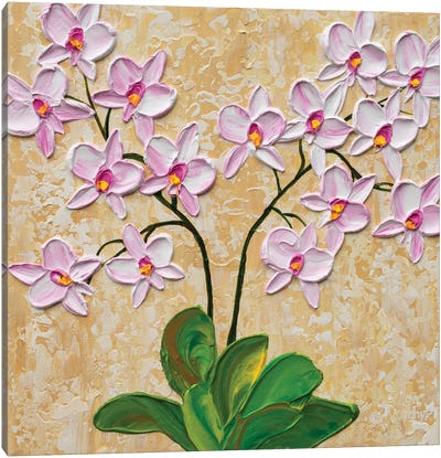 Pink Orchid Blooms Canvas Art Print - Zen Bedroom Art