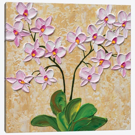 Pink Orchid Blooms Canvas Print #OTK173} by Olga Tkachyk Canvas Art Print