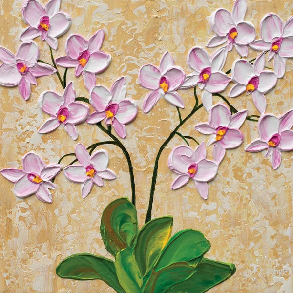 Olga Tkachyk: Pink Orchid Blooms by Olga Tkachyk