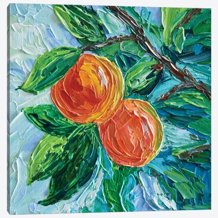 Peaches Canvas Print #OTK184} by Olga Tkachyk Art Print