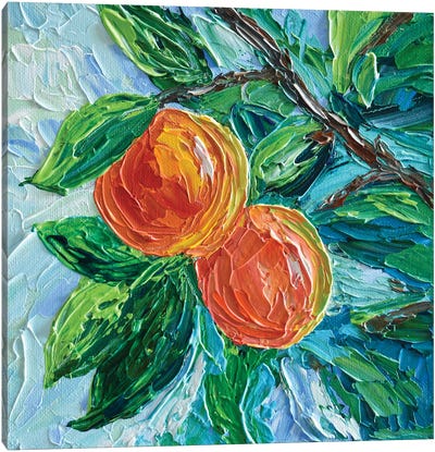 Peaches Canvas Art Print - Olga Tkachyk