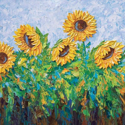 Sunflower Field by Olga Tkachyk framed canvas print