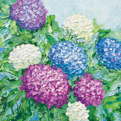 Hydrangea Blooms by Olga Tkachyk framed canvas print