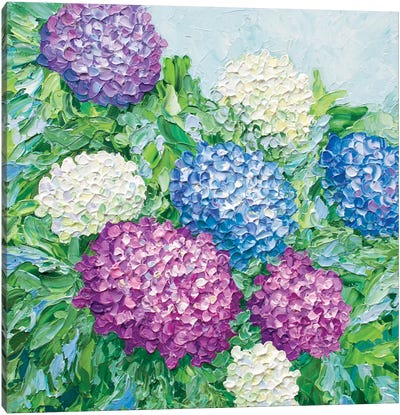 Hydrangea Blooms Canvas Art Print - Hydrangea Art