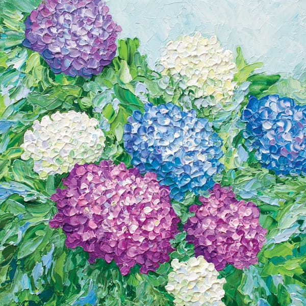 Hydrangeas: Hydrangea Blooms by Olga Tkachyk