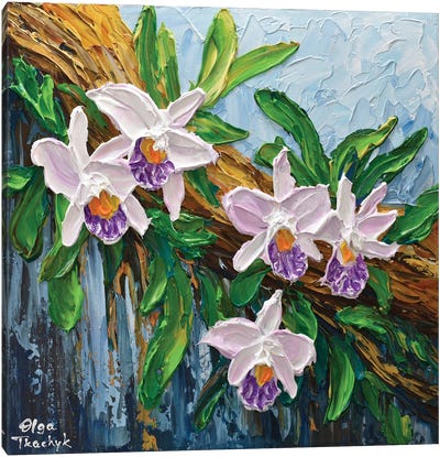 Lavender Orchid Canvas Art Print - Olga Tkachyk