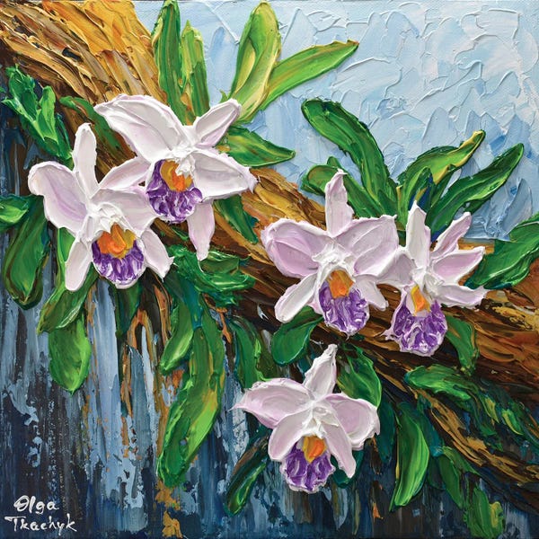 Orchids: Lavender Orchid by Olga Tkachyk