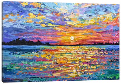 Magical Pink Sunset Canvas Art Print - Olga Tkachyk