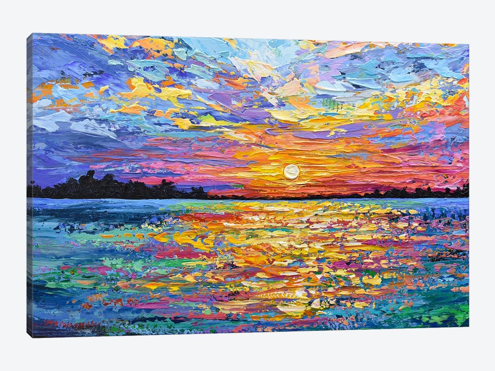 Magical Pink Sunset by Olga Tkachyk 1-piece Canvas Art