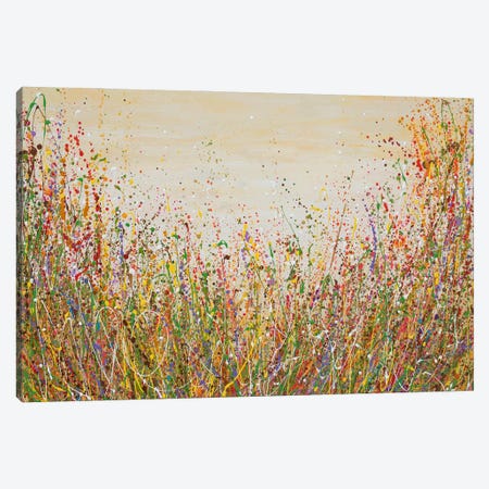 Golden Meadow Canvas Print #OTK217} by Olga Tkachyk Canvas Print