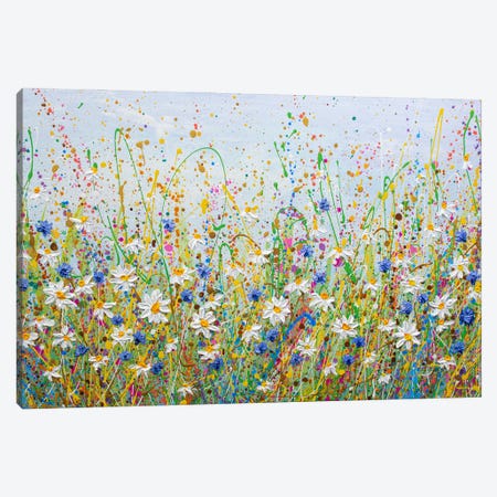 Daisies And Cornflowers Canvas Print #OTK221} by Olga Tkachyk Canvas Print