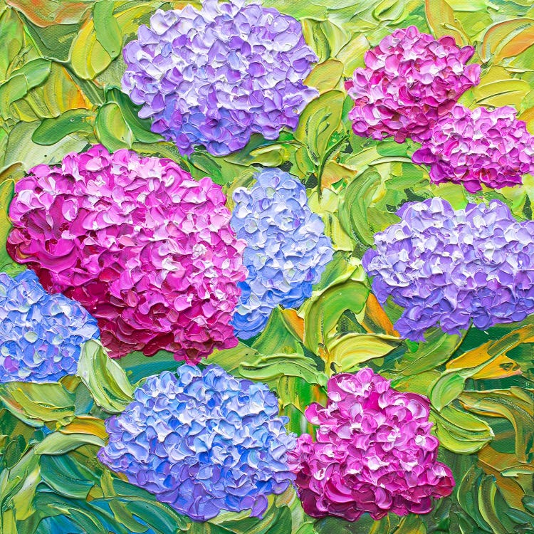 Hydrangea Bush