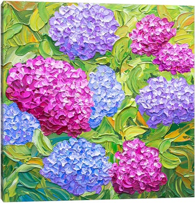 Hydrangea Bush Canvas Art Print - Olga Tkachyk