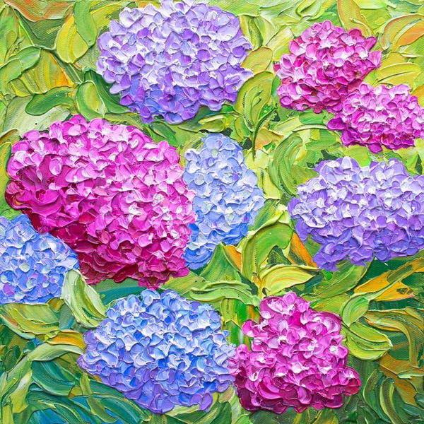 Hydrangeas: Hydrangea Bush by Olga Tkachyk