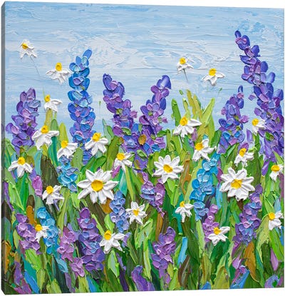 Summer Daisies Canvas Art Print - Olga Tkachyk