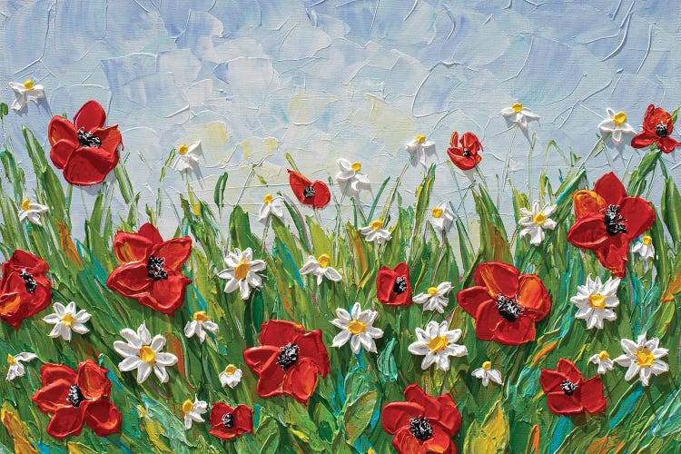 Daisies And Poppies