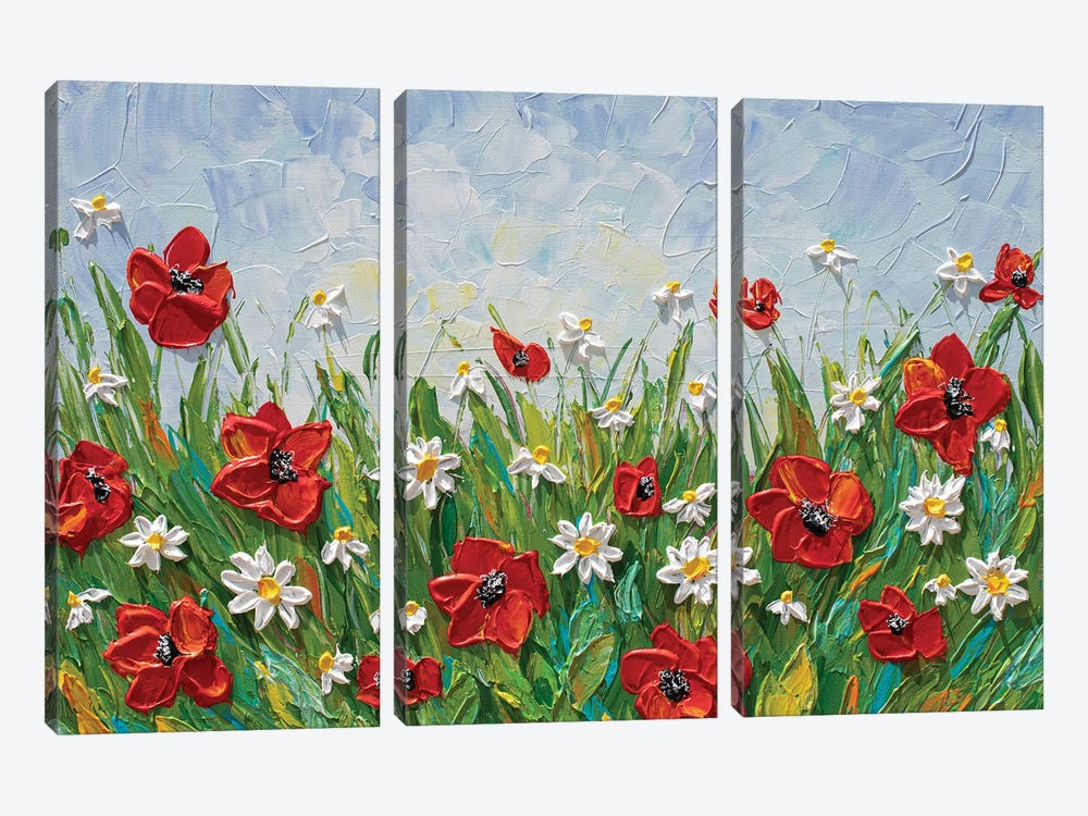 Daisies And Poppies by Olga Tkachyk 3-piece Canvas Wall Art