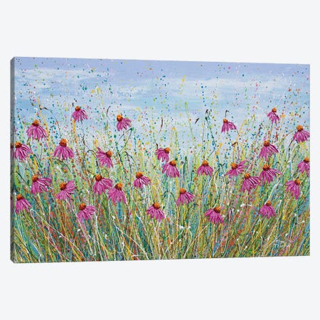 Pink Echinacea Canvas Print #OTK240} by Olga Tkachyk Canvas Art Print