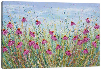 Pink Echinacea Canvas Art Print - Olga Tkachyk