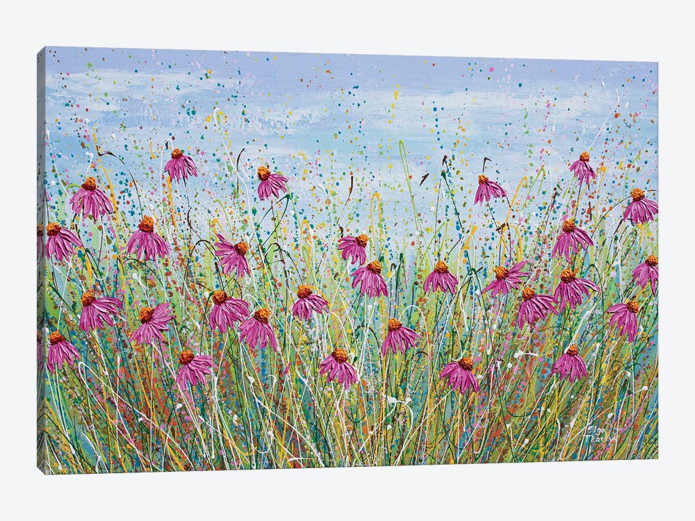 Pink Echinacea by Olga Tkachyk 1-piece Canvas Art Print
