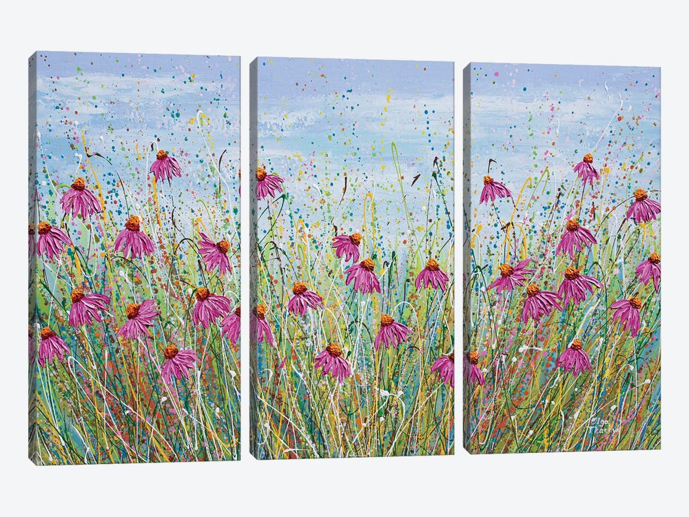 Pink Echinacea by Olga Tkachyk 3-piece Canvas Print