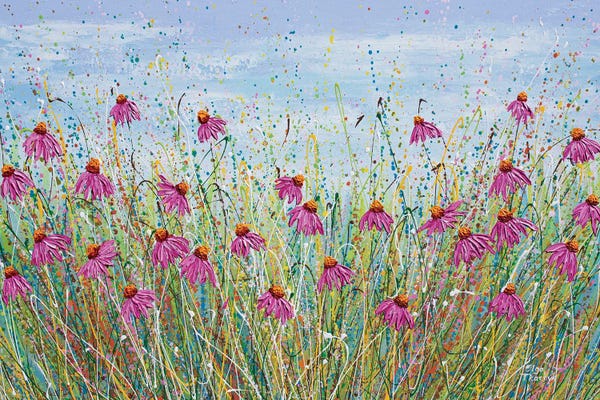 Olga Tkachyk: Pink Echinacea by Olga Tkachyk