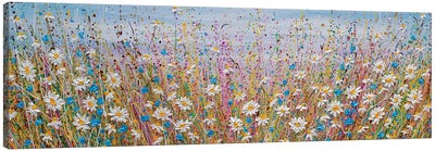 Summer Daisies II Canvas Art Print - Garden & Floral Landscape Art