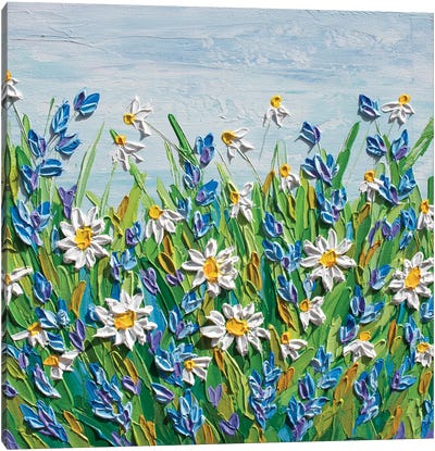 Daisies In June Canvas Art Print - Daisy Art