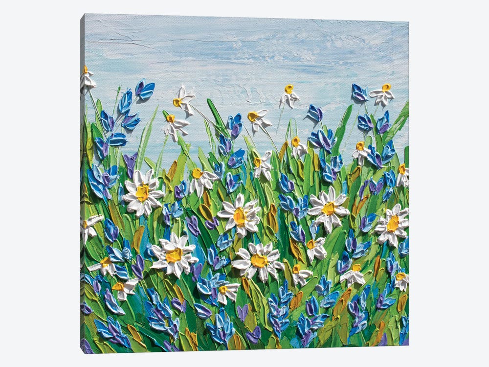 Daisies In June by Olga Tkachyk 1-piece Canvas Art Print