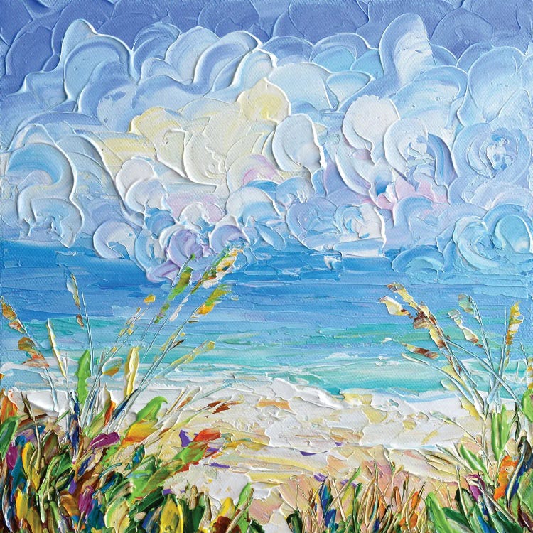 Fluffy Clouds At The Beach